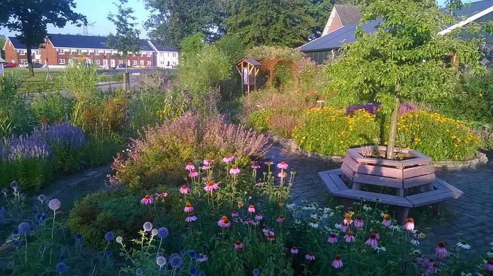 Wilde Hoek - Scouting Brandevoort